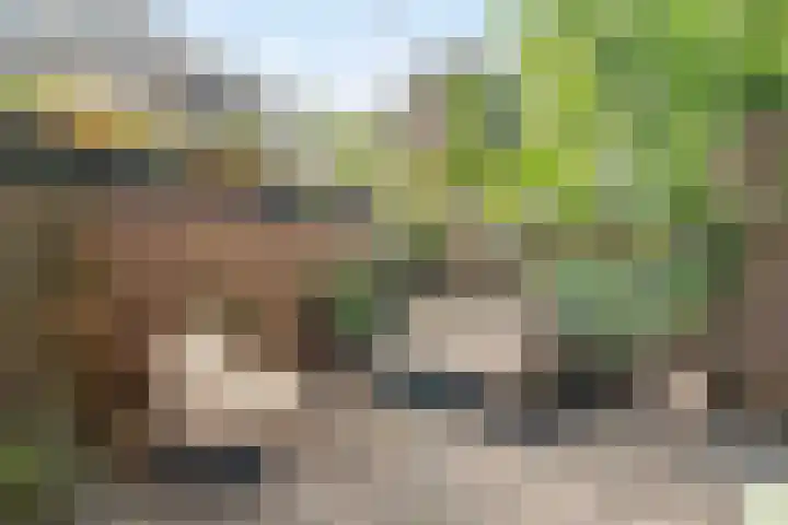 Jacob Catskade 47 2 Amsterdam thumbnail 22