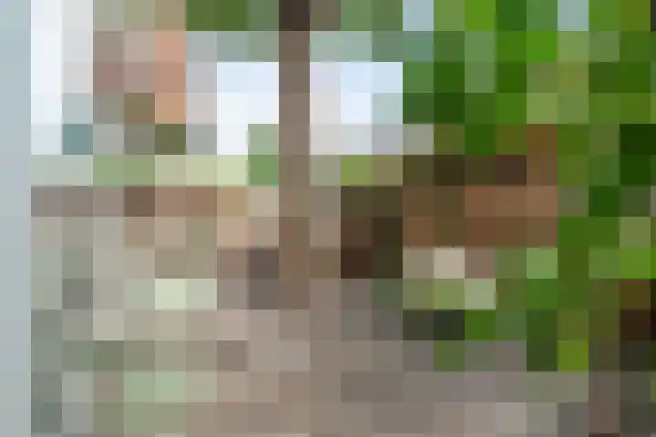 Jacob Catskade 47 2 Amsterdam thumbnail 23