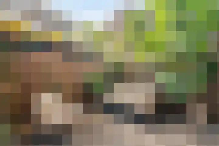 Jacob Catskade 47 2 Amsterdam thumbnail 24