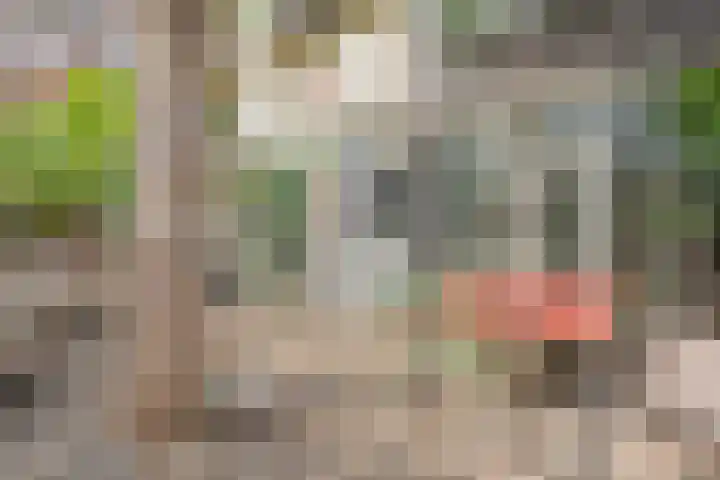 Jacob Catskade 47 2 Amsterdam thumbnail 26