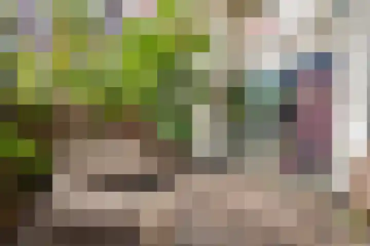 Jacob Catskade 47 2 Amsterdam thumbnail 27