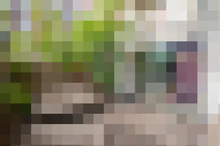 Jacob Catskade 47 2 Amsterdam thumbnail 28