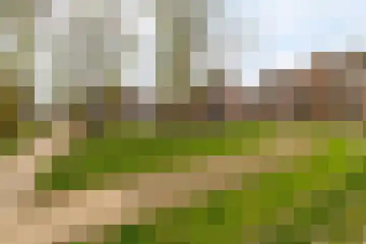 Jacob Catskade 47 2 Amsterdam thumbnail 43