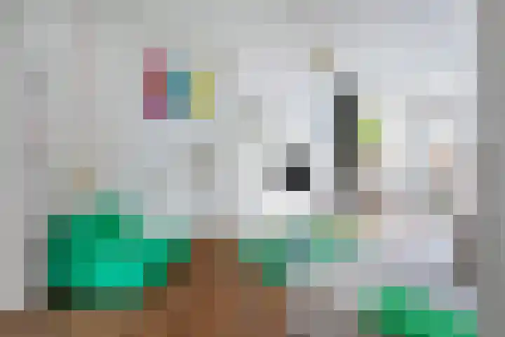 Jacob Catskade 47 2 Amsterdam thumbnail 8