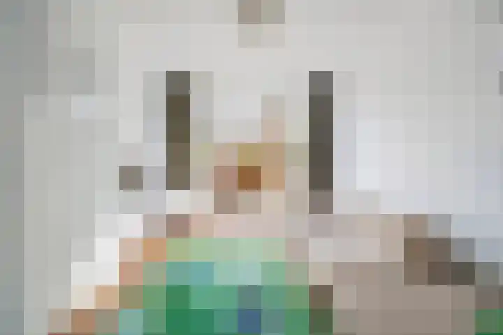 Jacob Catskade 47 2 Amsterdam thumbnail 9