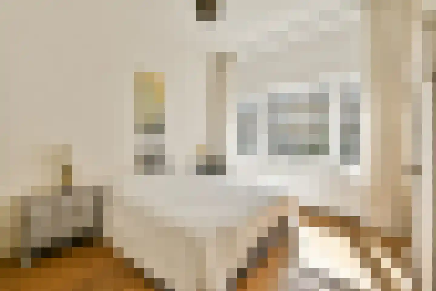 Jacob Catskade 51 H Amsterdam thumbnail 12