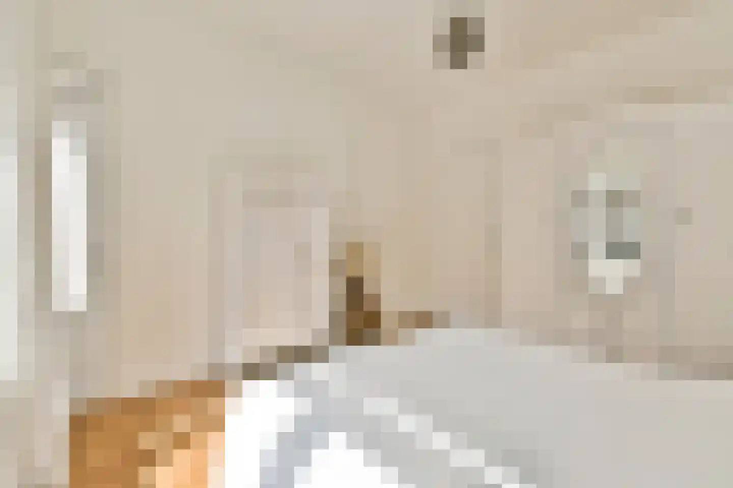 Jacob Catskade 51 H Amsterdam thumbnail 13