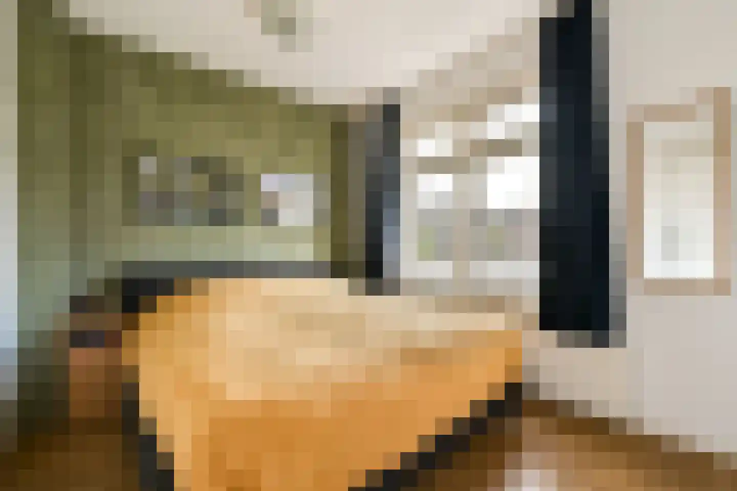 Jacob Catslaan 101 Leiden thumbnail 14