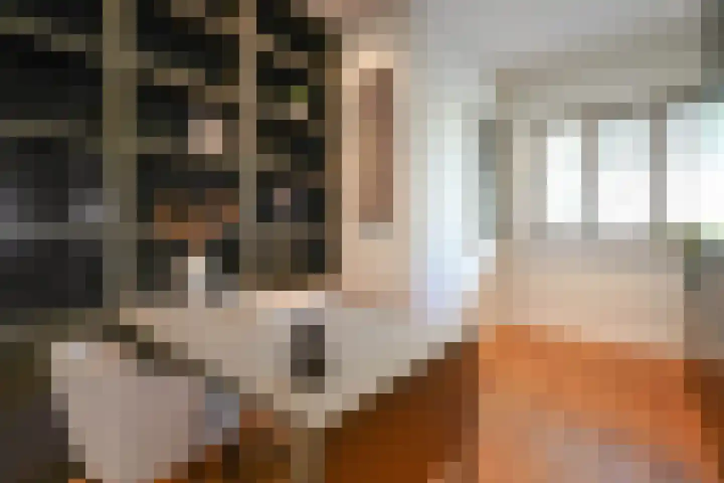 Jacob Catslaan 12 Den Haag thumbnail 35