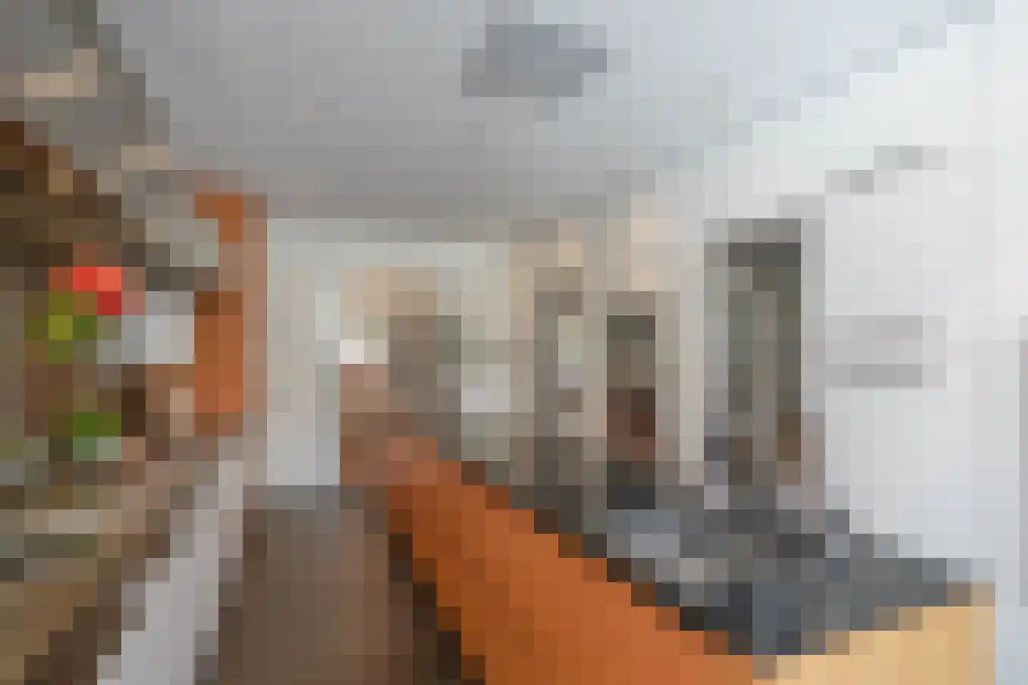 Jacob Catslaan 12 Den Haag thumbnail 37