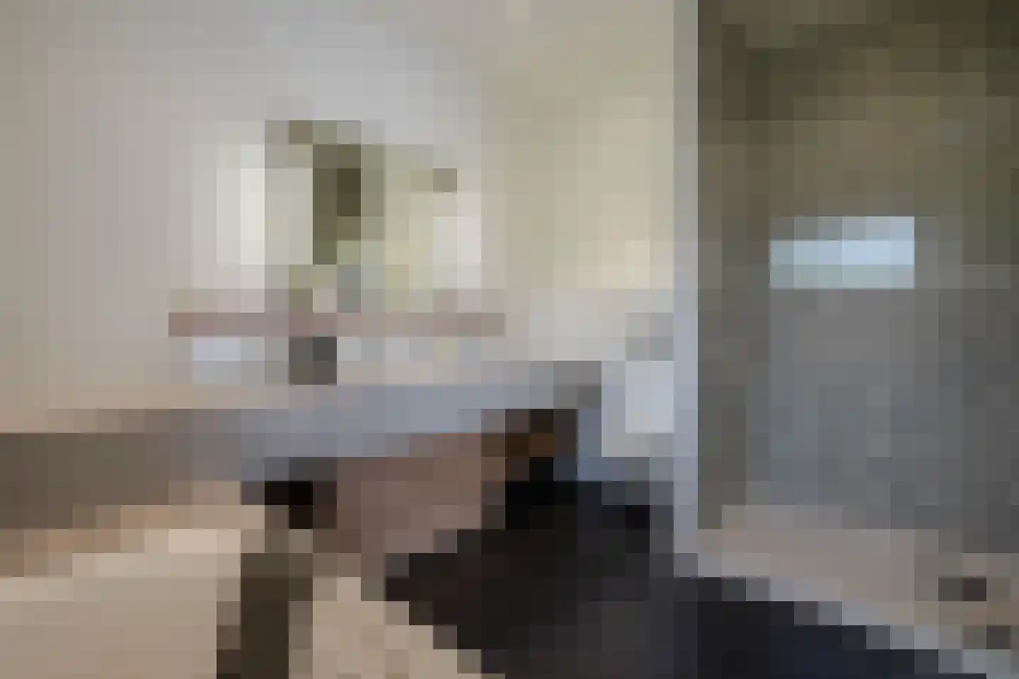 Jacob Catslaan 12 Den Haag thumbnail 57