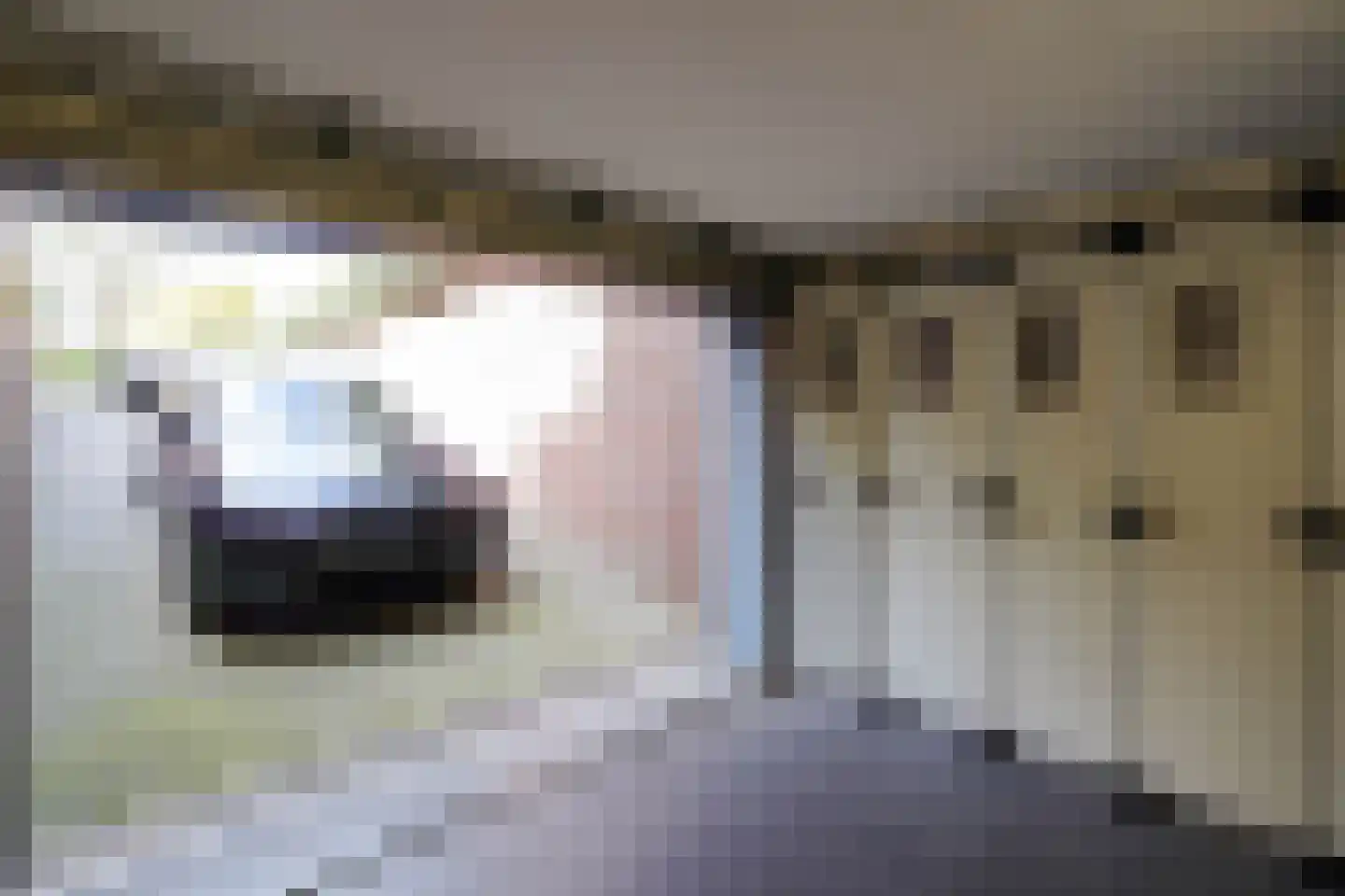 Jacob Catslaan 12 Den Haag thumbnail 86