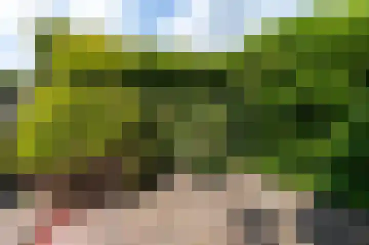 Jacob Catslaan 12 Hoogezand thumbnail 24