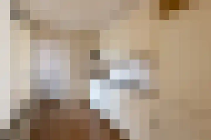 Jacob Catslaan 12 Hoogezand thumbnail 8