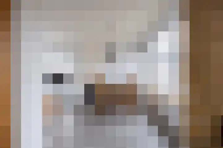 Jacob Catslaan 16 Hoogezand thumbnail 12
