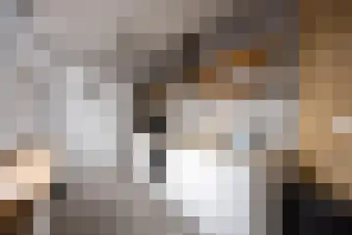 Jacob Catslaan 16 Hoogezand thumbnail 15