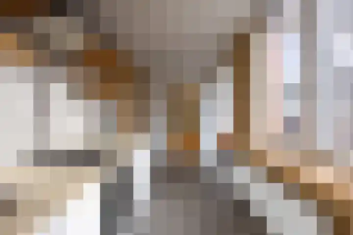 Jacob Catslaan 16 Hoogezand thumbnail 16
