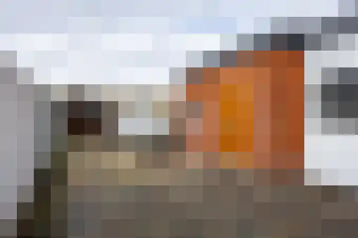 Jacob Catslaan 16 Hoogezand thumbnail 4
