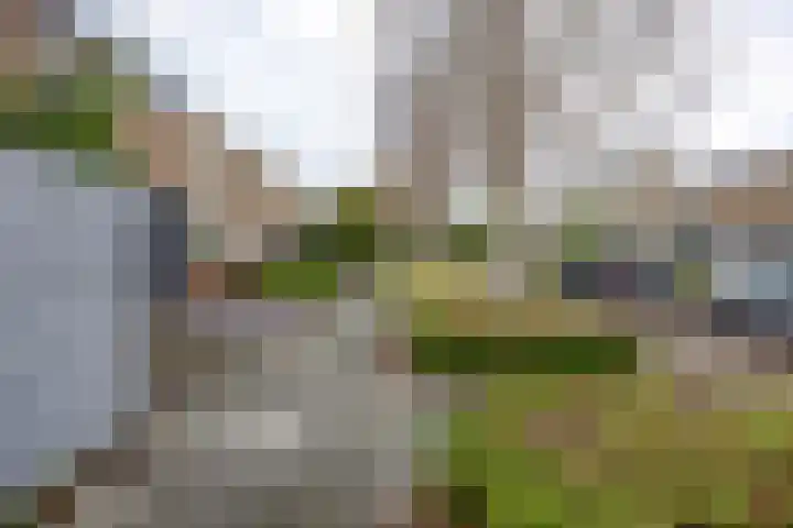 Jacob Catslaan 16 Hoogezand thumbnail 6