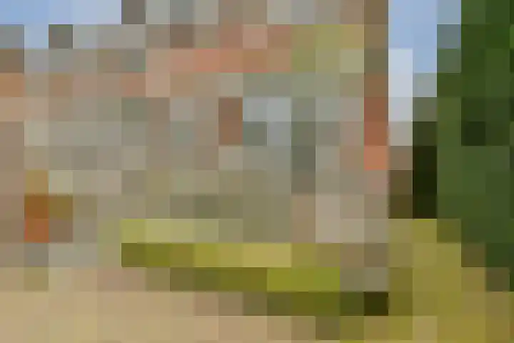 Jacob Catslaan 18 Schiedam thumbnail 10