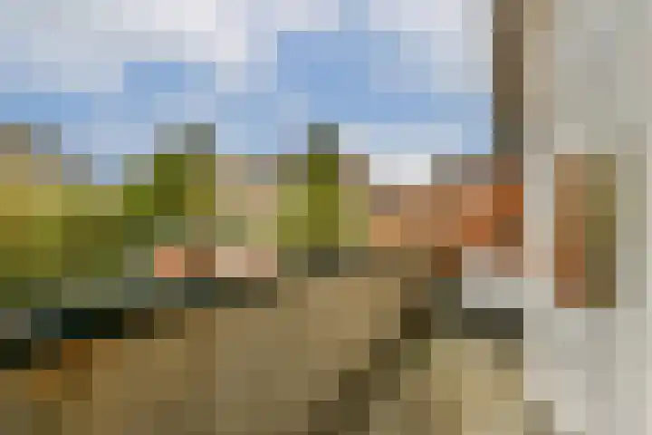 Jacob Catslaan 18 Schiedam thumbnail 16