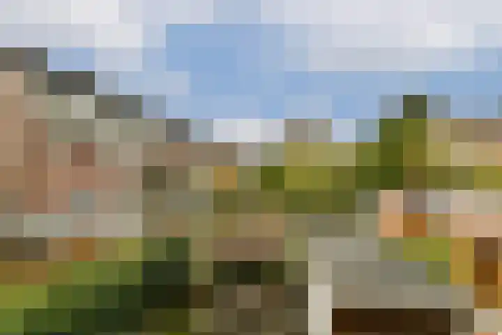 Jacob Catslaan 18 Schiedam thumbnail 17