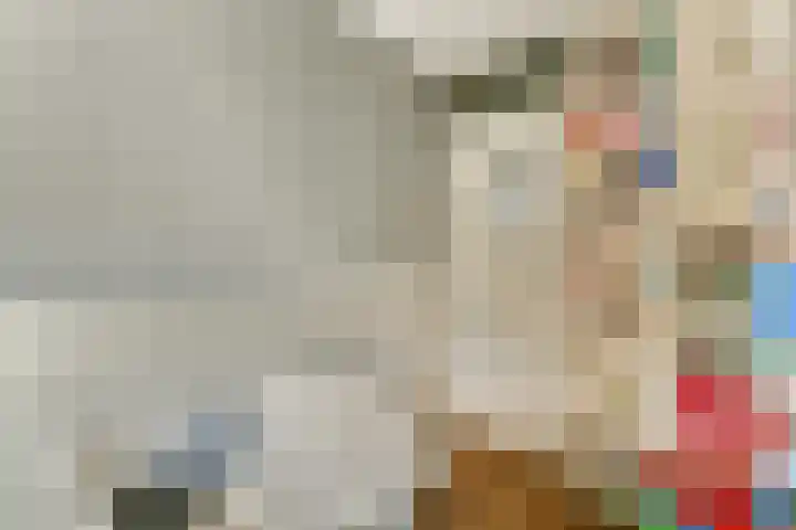 Jacob Catslaan 18 Schiedam thumbnail 27