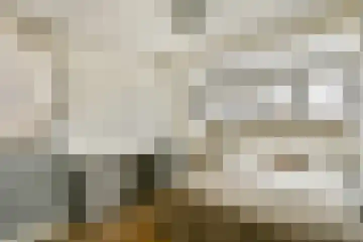 Jacob Catslaan 18 Schiedam thumbnail 31