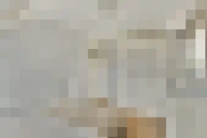Jacob Catslaan 18 Schiedam thumbnail 32
