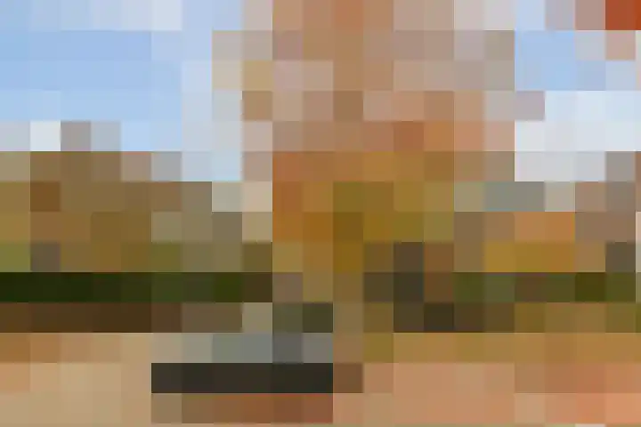 Jacob Catslaan 18 Schiedam thumbnail 35