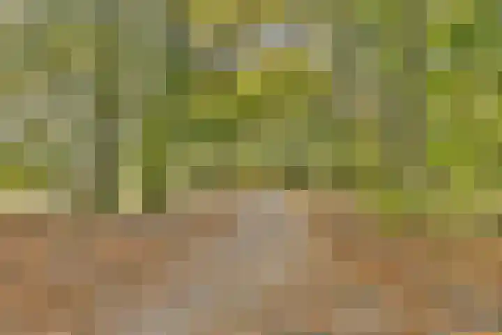Jacob Catslaan 18 Schiedam thumbnail 36