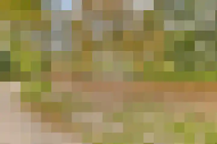 Jacob Catslaan 18 Schiedam thumbnail 37
