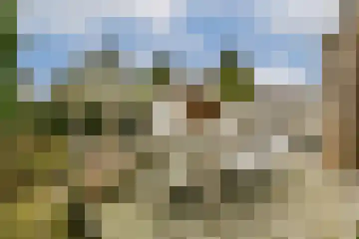 Jacob Catslaan 18 Schiedam thumbnail 4