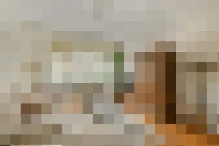 Jacob Catslaan 18 Schiedam thumbnail 5