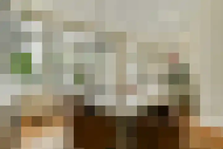Jacob Catslaan 18 Schiedam thumbnail 7