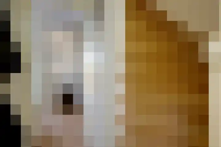 Jacob Catslaan 2 Hoogezand thumbnail 12
