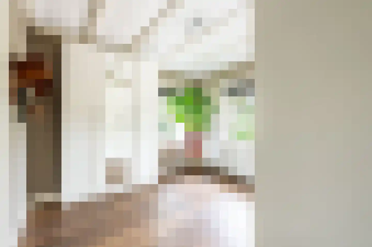 Jacob Catslaan 21 Apeldoorn thumbnail 18