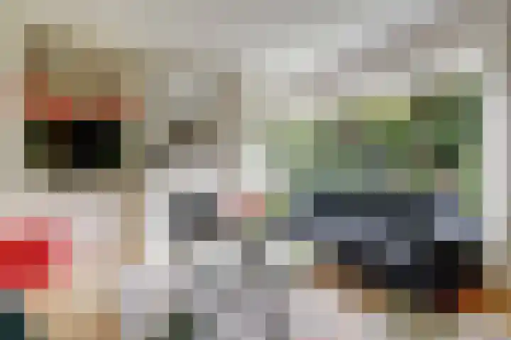 Jacob Catslaan 23 Ermelo thumbnail 13