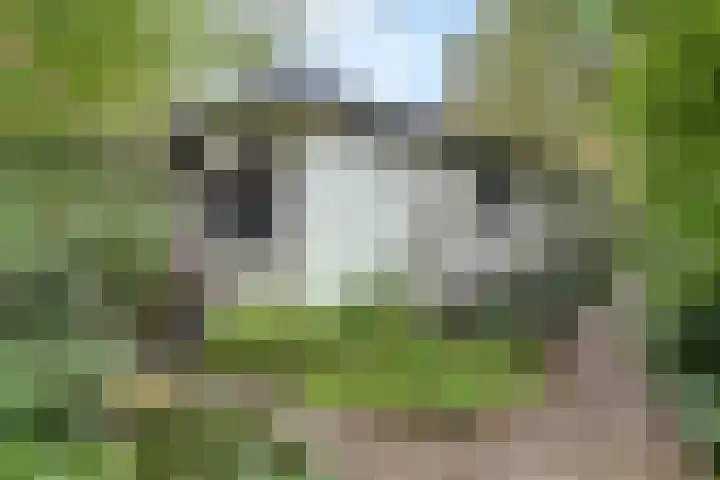 Jacob Catslaan 23 Ermelo thumbnail 41