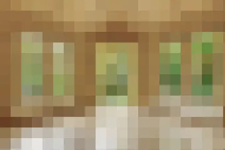 Jacob Catslaan 23 Ermelo thumbnail 45