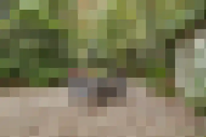 Jacob Catslaan 23 Ermelo thumbnail 47