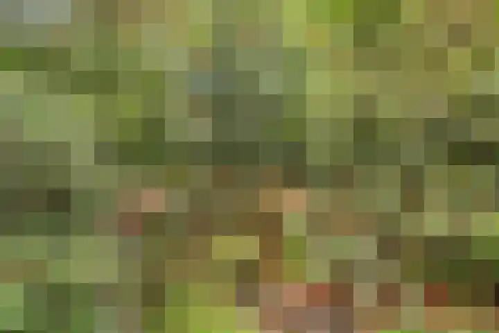 Jacob Catslaan 23 Ermelo thumbnail 48