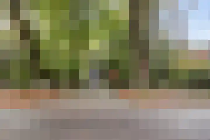 Jacob Catslaan 23 Ermelo thumbnail 52