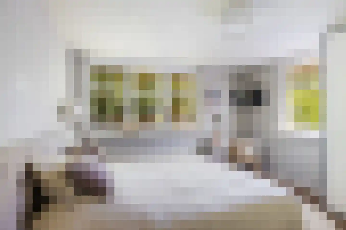 Jacob Catslaan 23 Zeist thumbnail 38