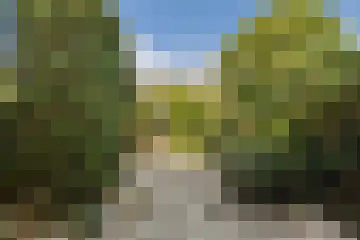 Jacob Catslaan 24 Uithoorn thumbnail 12