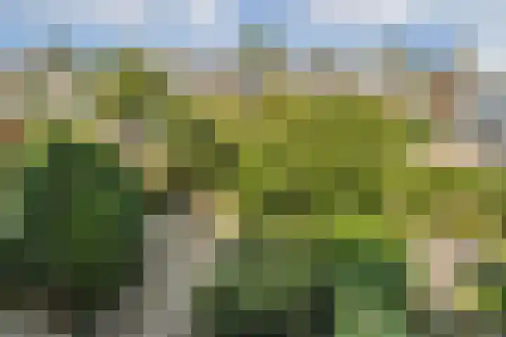 Jacob Catslaan 24 Uithoorn thumbnail 26