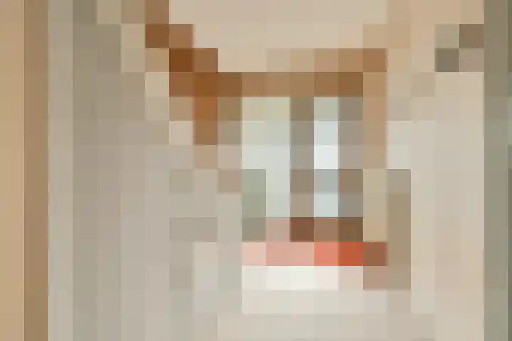 Jacob Catslaan 24 Uithoorn thumbnail 6