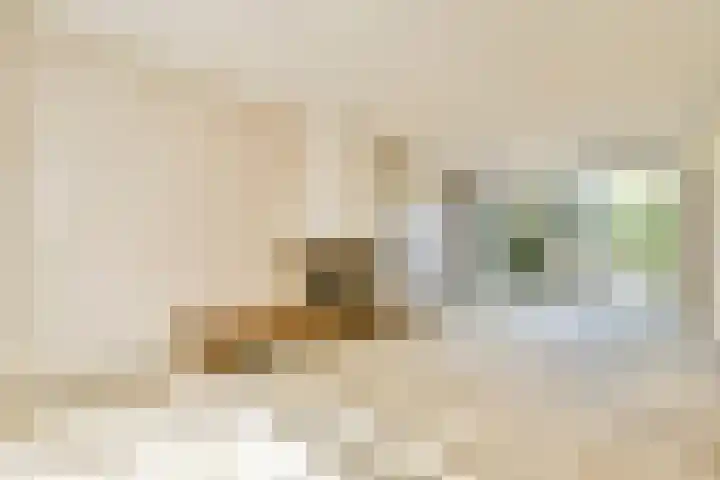 Jacob Catslaan 24 Uithoorn thumbnail 7
