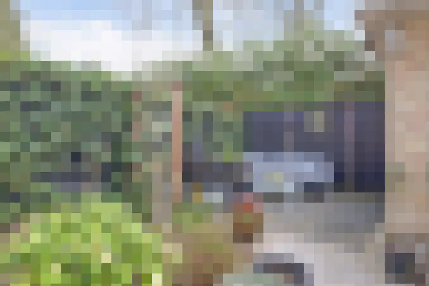 Jacob Catslaan 27 Soest thumbnail 31
