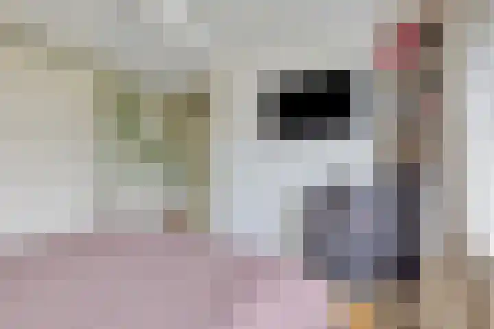 Jacob Catslaan 28 Capelle aan den IJssel thumbnail 14